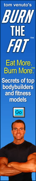 120 X 600 skyscraper blue burn the fat banner