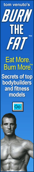 120 X 600 rectangle blue burn the fat banner