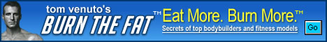 468 X 60 blue burn the fat banner