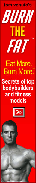 120 X 600 rectangle red burn the fat banner