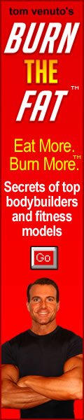 120 X 600 skyscraper red burn the fat banner